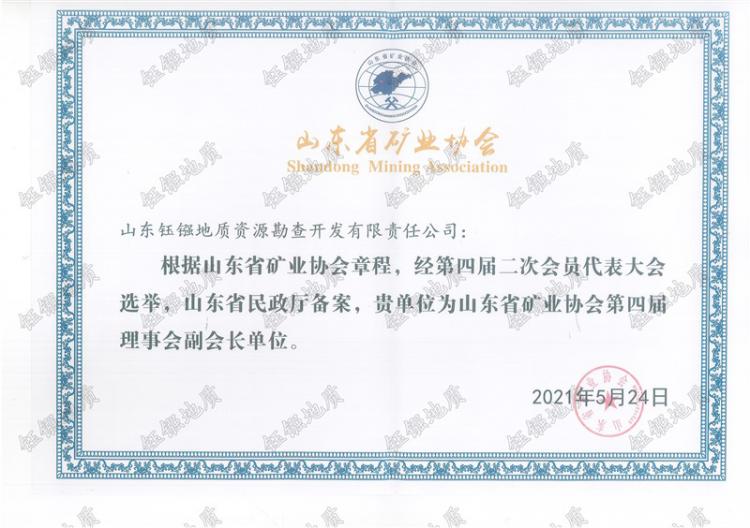 山东省矿业协会副会长